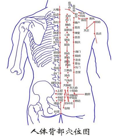 背部中間有痣|長在背部的痣有何寓意